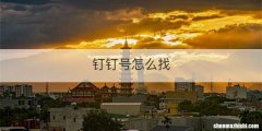 钉钉号怎么找