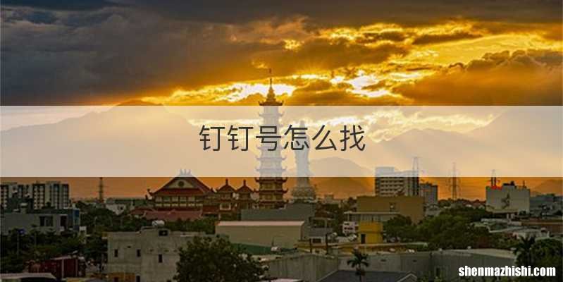 钉钉号怎么找