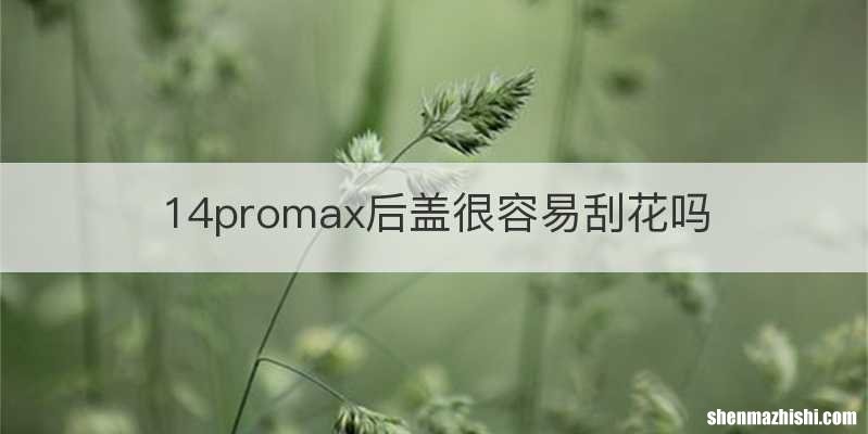 14promax后盖很容易刮花吗