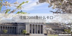佳能700d是什么卡口