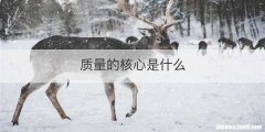 质量的核心是什么