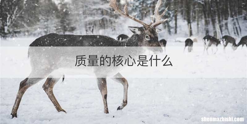 质量的核心是什么