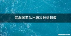 武磊国家队出场次数进球数