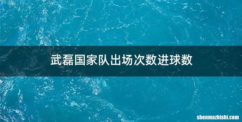 武磊国家队出场次数进球数