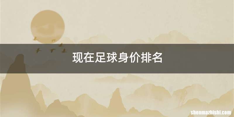现在足球身价排名
