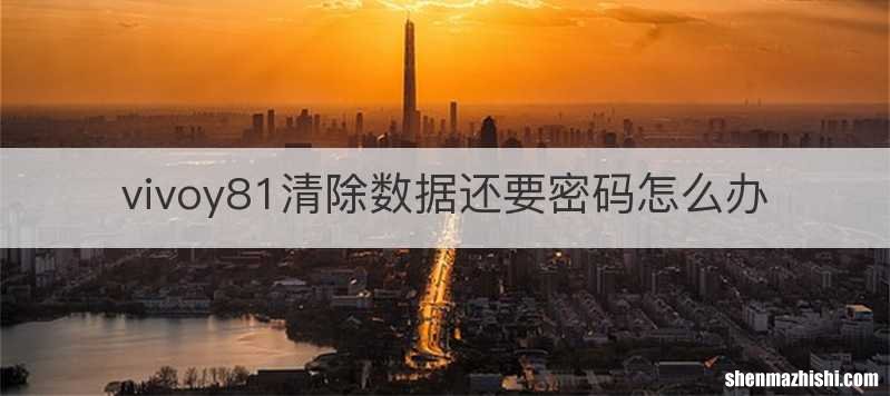 vivoy81清除数据还要密码怎么办
