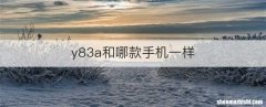 y83a和哪款手机一样