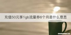 充值50元享1gb流量券6个月是什么意思
