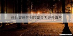 修仙者修的到底是灵力还是真气