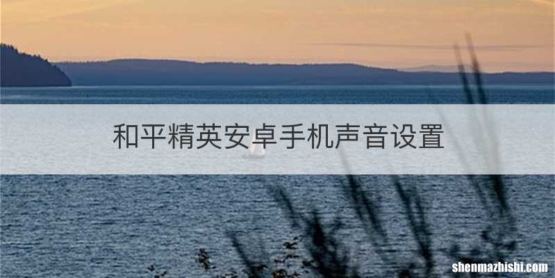 和平精英安卓手机声音设置