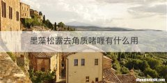 墨藻松露去角质啫喱有什么用