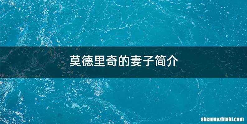 莫德里奇的妻子简介