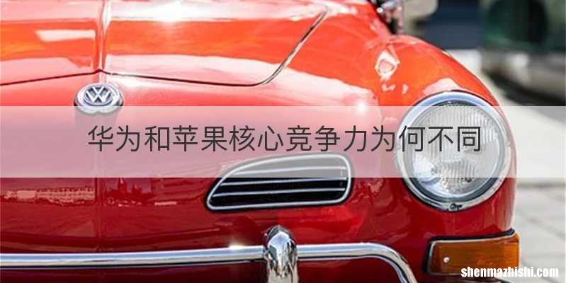 华为和苹果核心竞争力为何不同