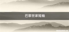 巴黎世家短袖