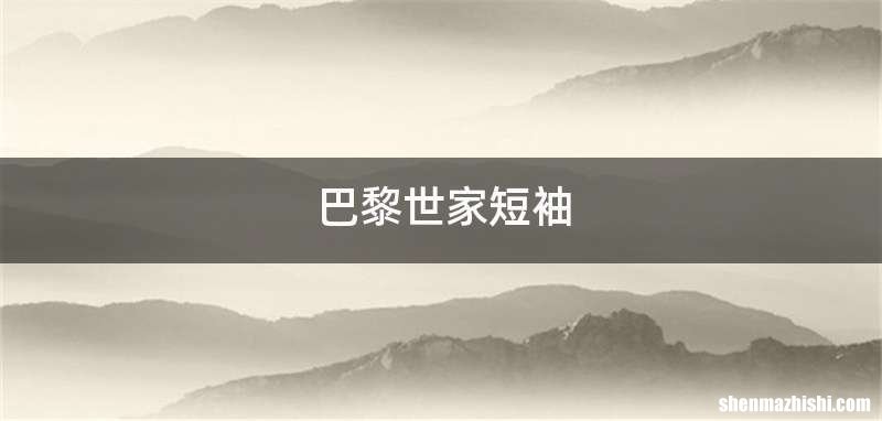 巴黎世家短袖