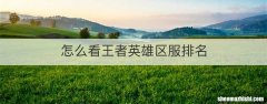 怎么看王者英雄区服排名