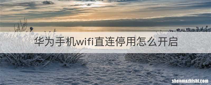 华为手机wifi直连停用怎么开启