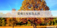 雪佛兰车标怎么拆