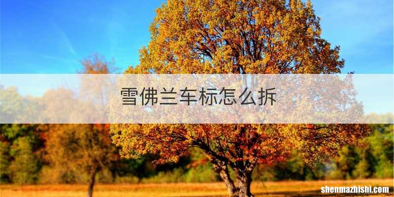 雪佛兰车标怎么拆