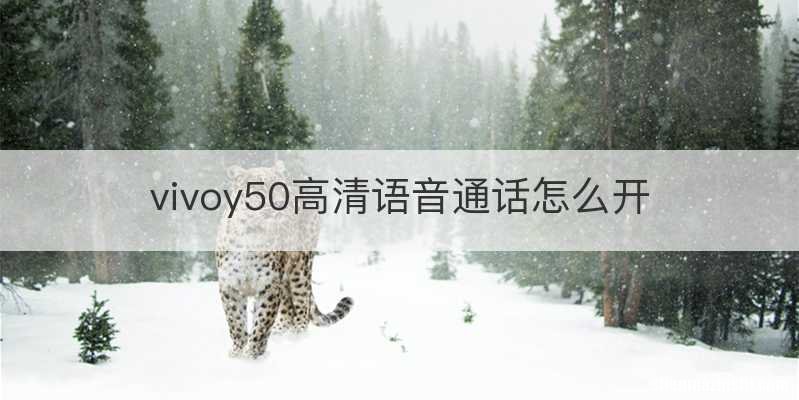 vivoy50高清语音通话怎么开