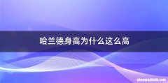 哈兰德身高为什么这么高