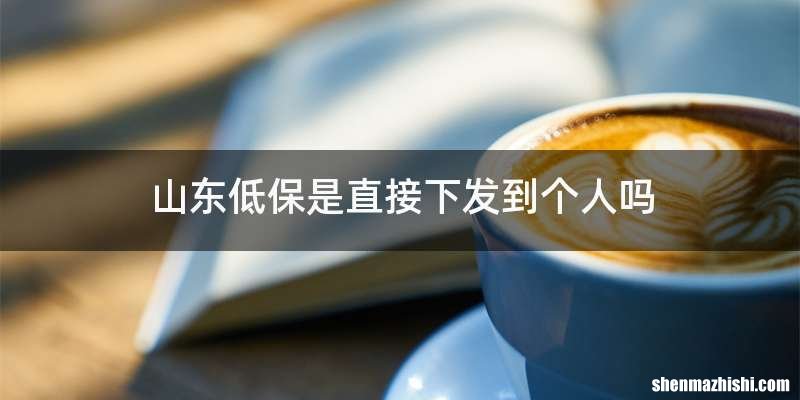 山东低保是直接下发到个人吗