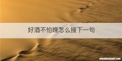 好酒不怕晚怎么接下一句