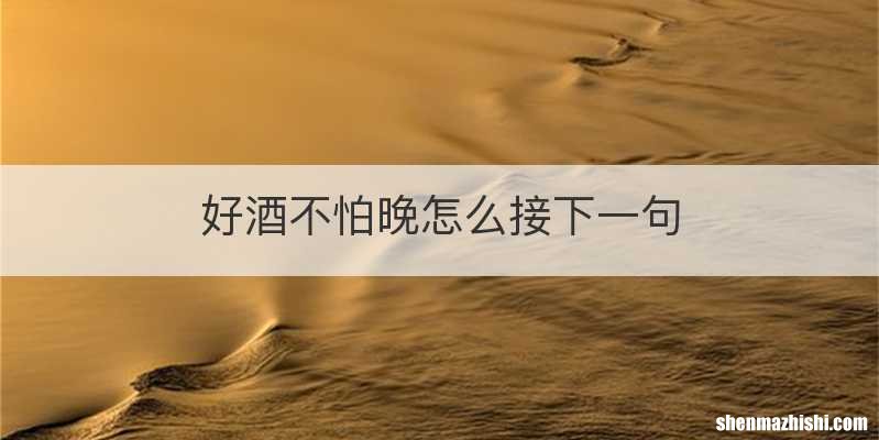 好酒不怕晚怎么接下一句