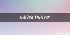 标准的足球场有多大