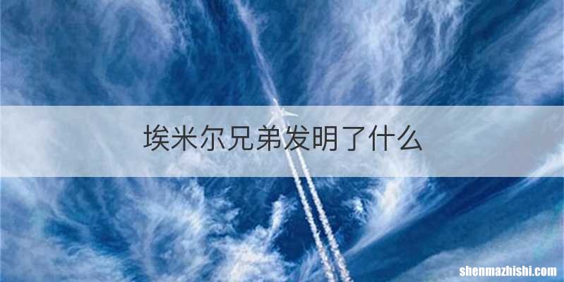 埃米尔兄弟发明了什么
