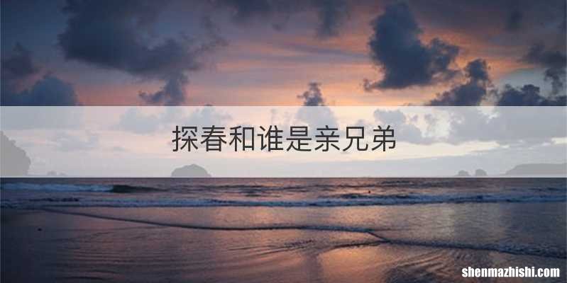 探春和谁是亲兄弟