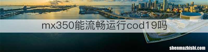 mx350能流畅运行cod19吗