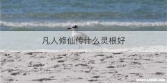 凡人修仙传什么灵根好