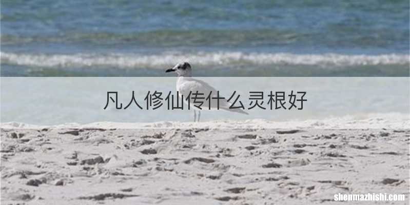 凡人修仙传什么灵根好