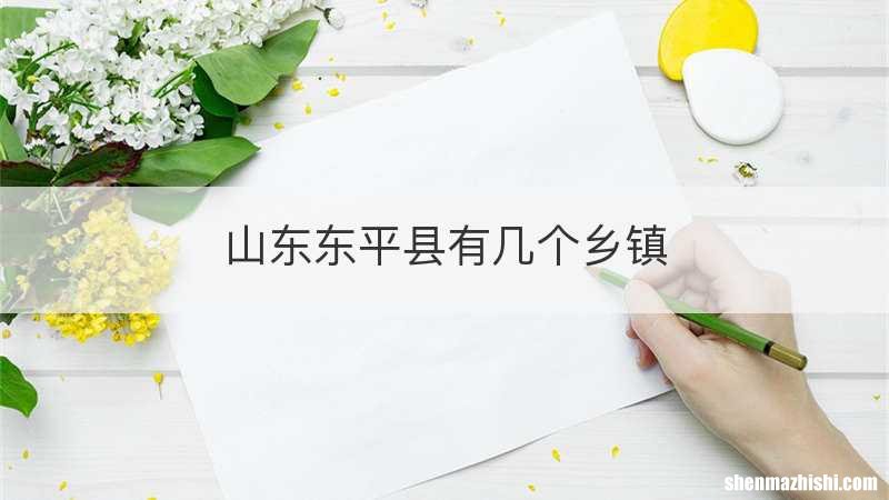山东东平县有几个乡镇