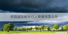 收到追加被执行人申请书怎么办