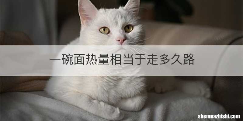 一碗面热量相当于走多久路