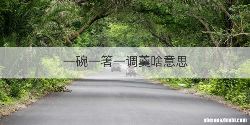 一碗一箸一调羹啥意思