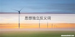 思想独立反义词