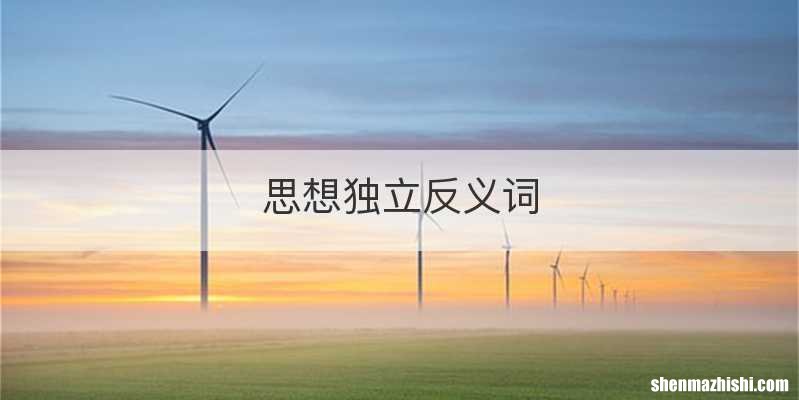 思想独立反义词