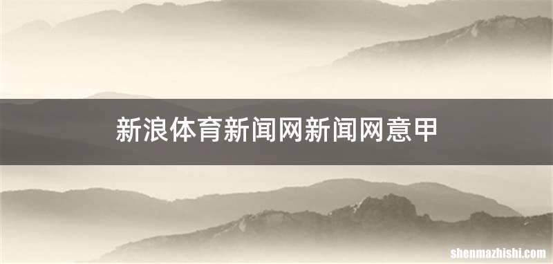 新浪体育新闻网新闻网意甲