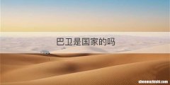 巴卫是国家的吗