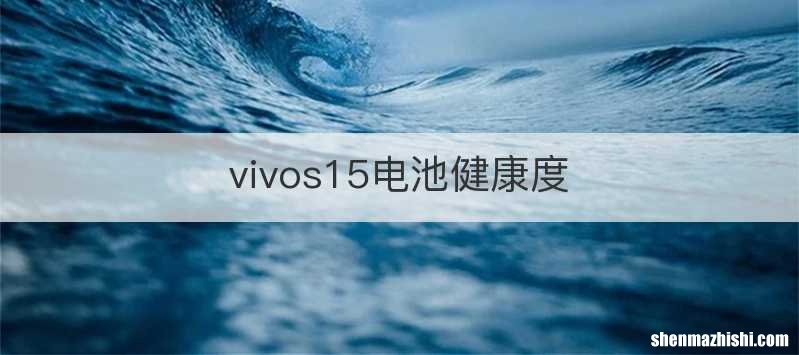 vivos15电池健康度