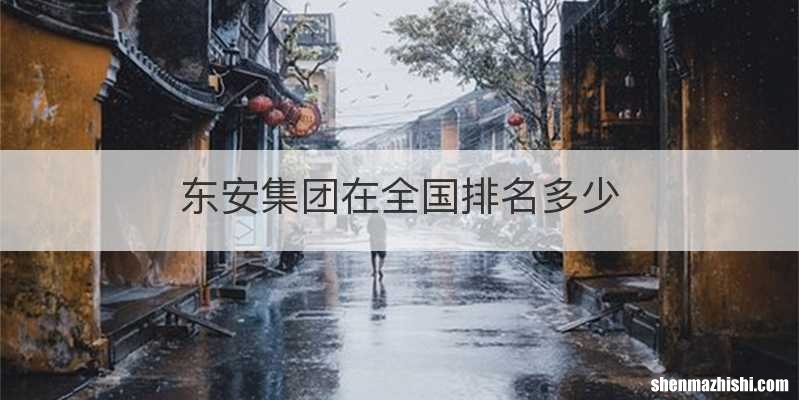 东安集团在全国排名多少