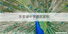东安湖中学建筑面积