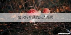 楚汉传奇魏豹夫人结局