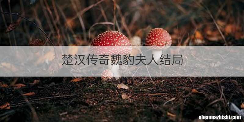 楚汉传奇魏豹夫人结局