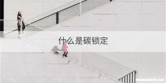 什么是碳锁定