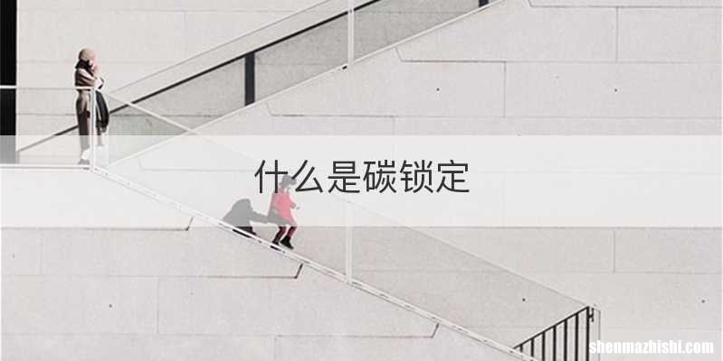 什么是碳锁定