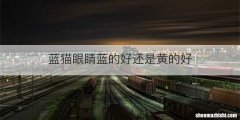 蓝猫眼睛蓝的好还是黄的好